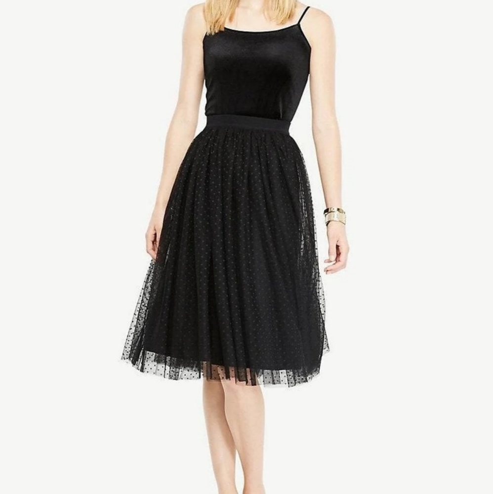 Ann Taylor Dotted Tulle Skirt